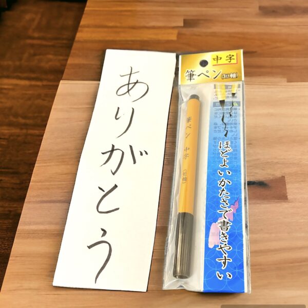 Penna calligrafica